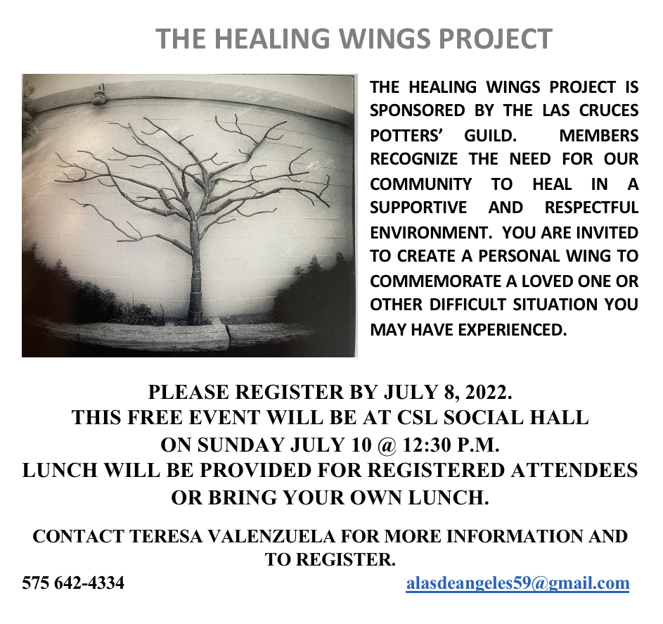 The Healing Wings Project