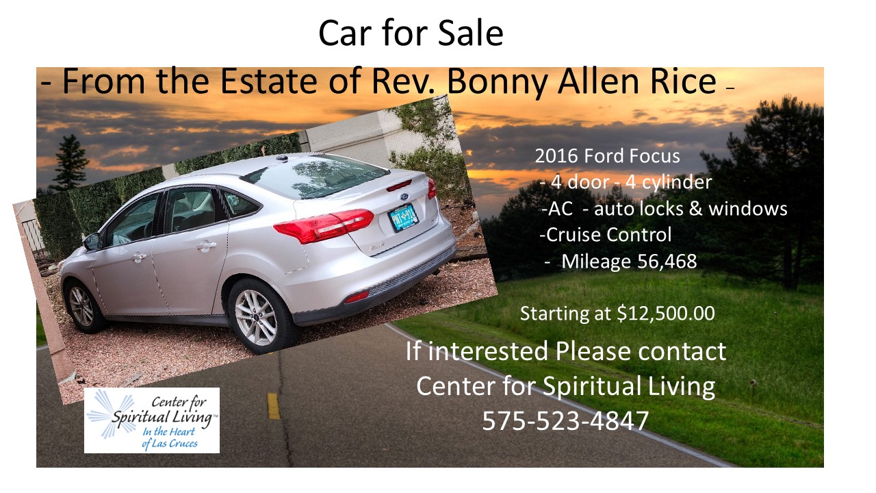 Rev. Bonny Allen Rice - donated car for sale to CSL Ford Focus 2016